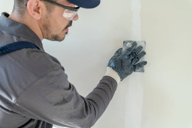 Best Real Estate Mold Inspection  in Shively, KY
