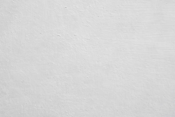 Best Black Mold Removal  in Shively, KY