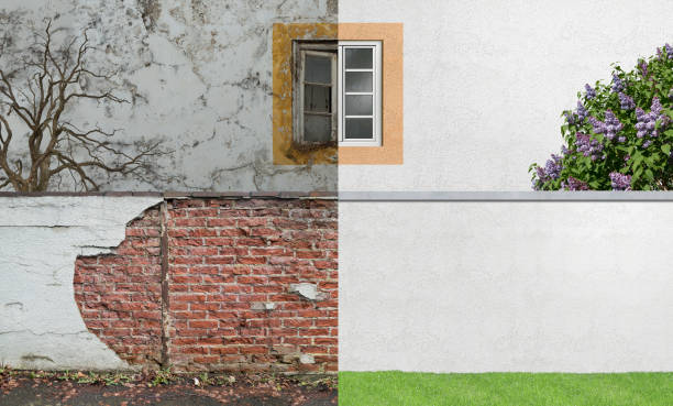 Best Commercial Mold Inspection  in Shively, KY